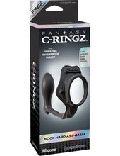 Load image into Gallery viewer, A buttplug with cock and balls ring
