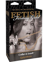 Load image into Gallery viewer, Fetish Fantasy Gold Collar &amp; Leash
