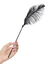 Load image into Gallery viewer, Fetish Fantasy Limited Edition Love Plume