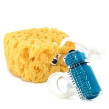Load image into Gallery viewer, Sex in the Shower Gift Set