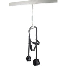 Load image into Gallery viewer, Spin About On This Sexy Swing Frame