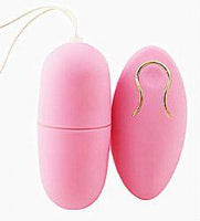 Super Secret Wireless Vibrating Egg